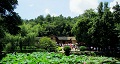 長(zhǎng)沙出發(fā)到花明樓、韶山、張家界國(guó)家森林公園、天門仙山國(guó)家森林公園四日游